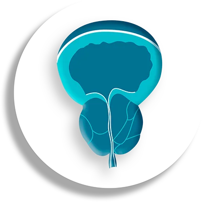 Enfermedades de próstata